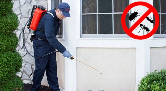 Ardanuç Karınca İlaçlama böcek ilaçlama ve haşere kontrolü — ilaclama-tr.com
